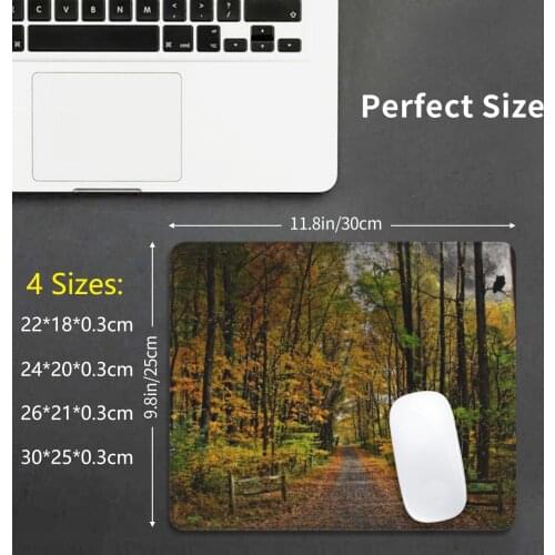 Owl Hollow Mouse Pad 2668 Fall Autumn Foliage Trees Color Owl Silhouette Road Lehigh Valley