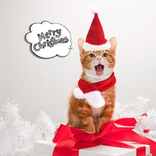Hot Sell pet christmas Hat scarf outfit