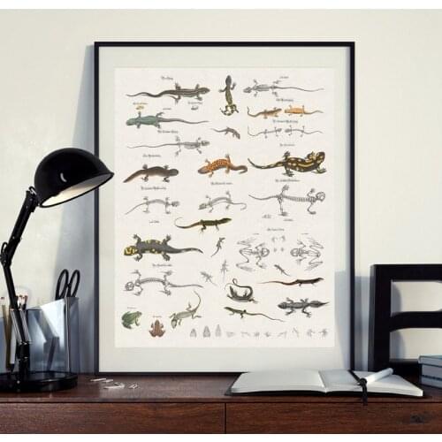 Lizard Chart Prints Reptiles Natural History Educational Poster Classroom Decor Animal Zoology Poster Kraft paper
