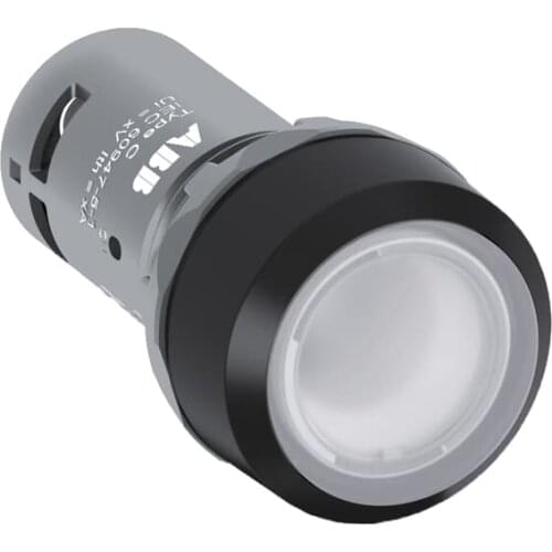 CP2-13C-10 10185596 Flat button | transparent | 1NO | self-locking