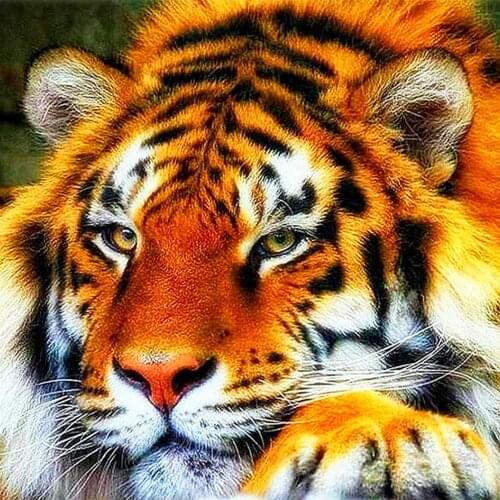 Full circle full diamond 5D DIY diamond painting animal tiger diamond embroidery kit cross stitch mosaic home decoration gift
