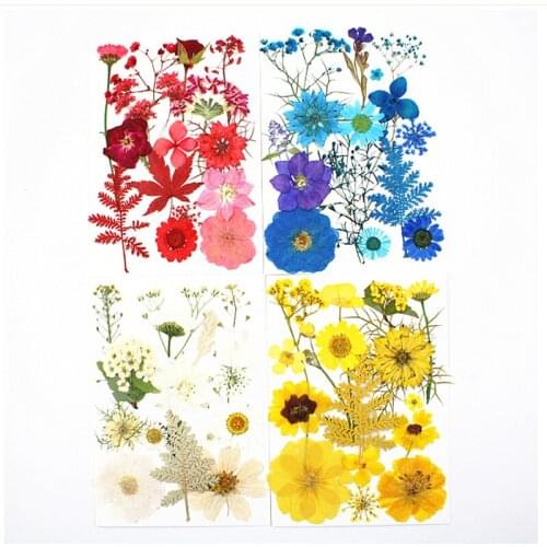 10 Pack Pressed Flower Dry flower material Pack phone case Photo sticker face makeup DIY material