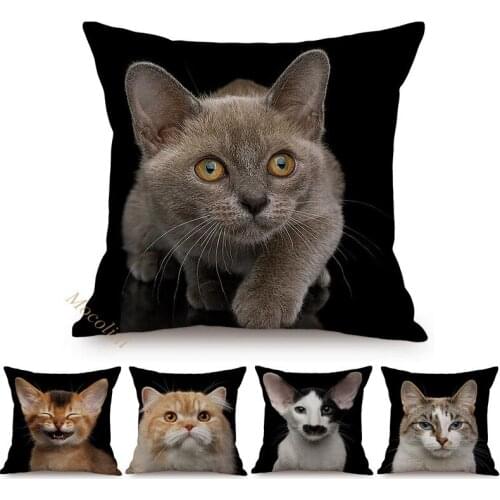 Nordic Black Cat Style Decorative Sofa Pillows Case Cute Pets Portrait Photography Art Cotton Linen Square Cushion Cover Cojines