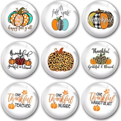 Handmade Thanksgiving Pumpkin Leopard Plaid Round Photo Glass Cabochons Demo Flat Back DIY Jewlery Making Findings Accessory