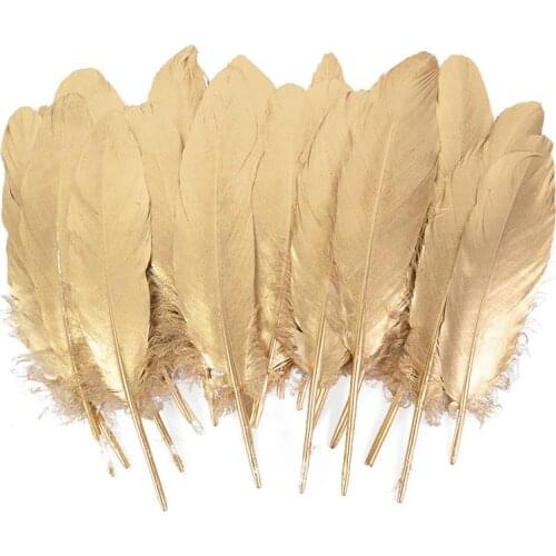 CYZQ Decorative Feathers
