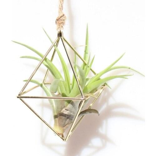 NEW NEW Hanging Tillandsia Air Plants Rack Metal Geometric Iron Art Rustic Flower Planter Pot Plants Rack For Home Garden