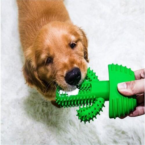 Dog Chew Toys Cactus Shape Dog Squeaky Toy Natural Rubber for Pet Dog Teeth Multifunctional Chew Clean Toothbrush Healthy Fresh