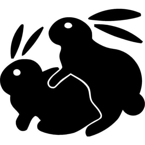 14*12.3CM Bunny Rabbit Sex Fansy Car Styling Funny Car Sticker And Decals Accessories Laptop Suitcase Helmet Skateboard Sticker