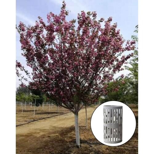 Plastic Tree Trunk Protectors Wrap Guard Protector for Garden Lawns