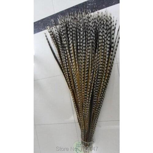 Feather Costume! 30Pcs/Lot! 43-47"(110-120cm) Natural REEVES PHEASANT TAIL FEATHERS FOR Hats/Bridal/Costume,carnival party