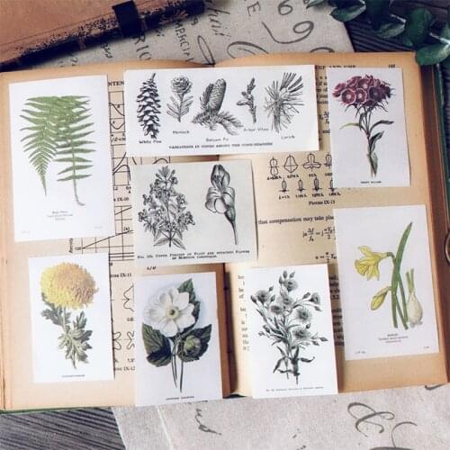 Retro flower plant illustration material paper DIY scrapbooking album diary happy planner junk journal decoration material paper