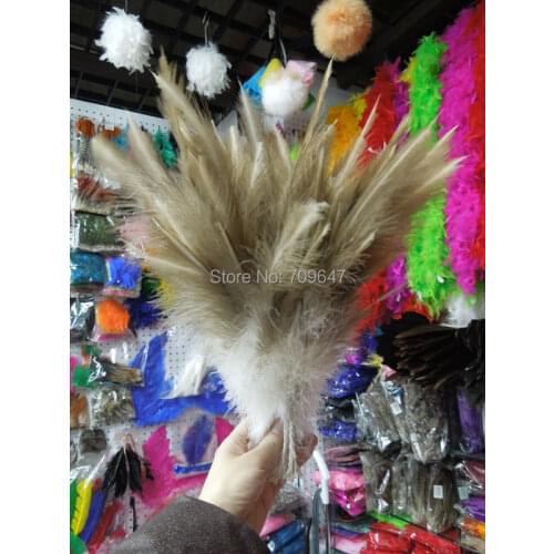 10Pcs/Lot! 8-10inches/20-25cm Natural Fluff Feathers for DIY Decorative,Party Plumes Carnival Dancer Feathers for Crafts