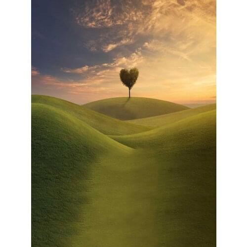 Outdoor shooting photo backgrounds vinyl great mountain wedding photography backdrops for photo studio props photophone S-1797