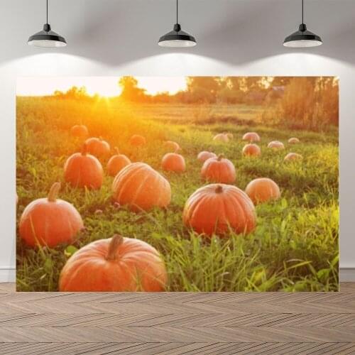 Seekpro Autumn Harvest Pumpkin Thanksgiving Background Photographic Backdrop Grass Land Scenery Children For Photo Studio Shoot