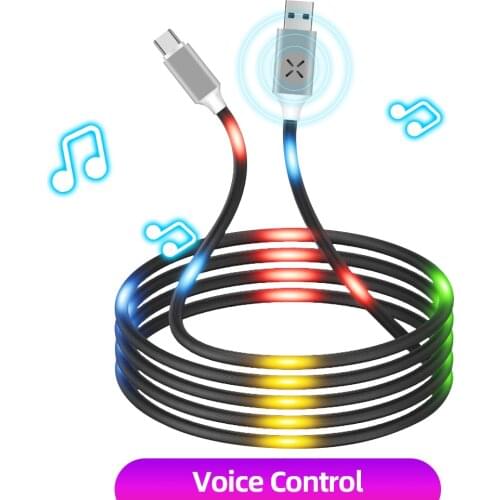 Type C Micro USB Cable 2.4A LED Luminous Voice Control Data Cord Fast Charging Mobile Phone Cable Sound Flash Light Charge Wire