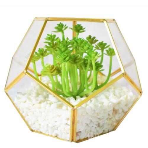 Gold Glass Pentagon Geometric Terrarium Container Window Sill Decor Flower Pot Balcony Planter Diy Display Box (No Plant)