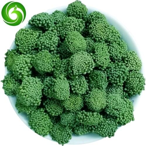 Sanchi,Sanchi Traditional Works Effective Flos Notoginseng Sanchi Flower