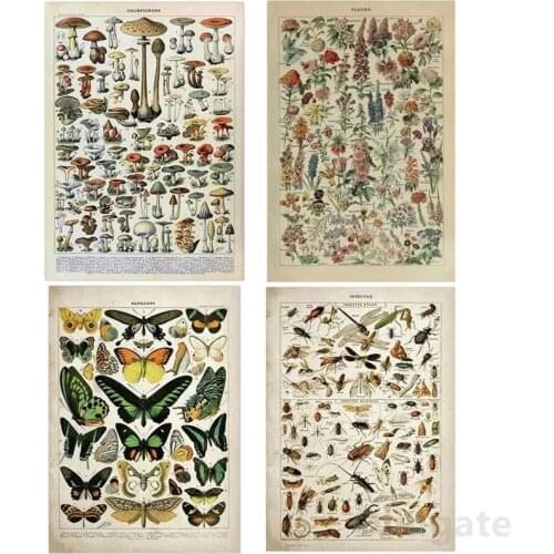 Canvas Painting Vintage Adolphe Millot Encyclopedia Posters Butterfly Mushrooms Herbs Flowers Insect Classic Wall Stickers Gift