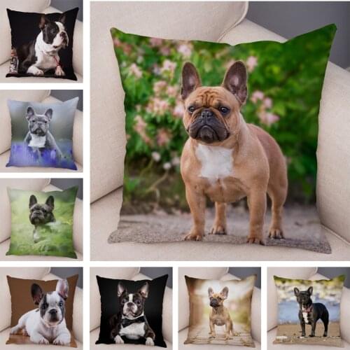 Soft Plush Mini French Bulldog Pillow Case for Home Sofa Car Decor Cute Pet Animal Dog Cushion Cover Printed Pillowcase