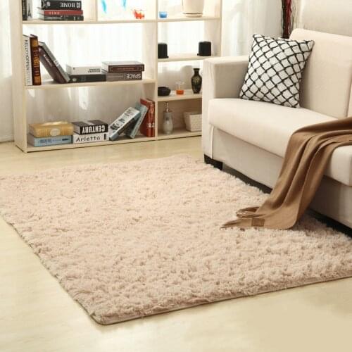 Soft Shaggy Carpet for Living Room European Home Warm Plush Floor Rugs Fluffy Mats Kids Room Faux Fur Area Rug Living Room Mats