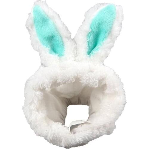 Предметы для ухода за животными AsyPets China At AliExpress