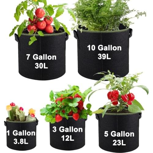 Fabric Plant Pots Grow Bags 1/3/5/7/10 Gallon Gardening Vegetable Tomato Strawberry Growing Planter Garden Potato Planting Pots