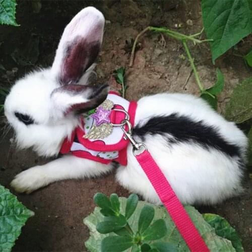 Rabbit Hamster Vest Harness With Leash Bunny Chest Strap Ferret Working Rope