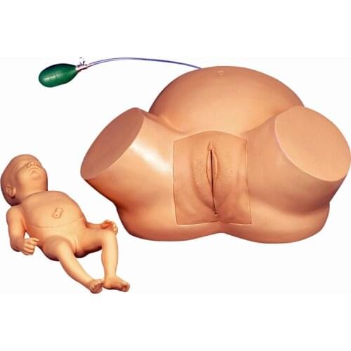 Difficult Labour Demonstration Simulator Dystocia Fetus Baby Doll Pregnant Childbirth Manikin