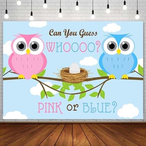 Boy Or Girl Backdrops Gender Reveal Pink Blue Owl Baby Shower Newborn Photography Background Photo Studio Photozone Decor Props
