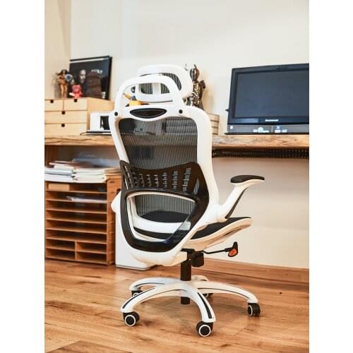 GY Eight Or Nine Ergonomic Computer Chairs E-Sports Office Chairs Home Study Long-Sitting Student Seat Desk Comfortable