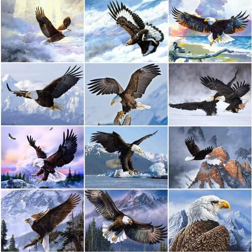 MomoArt 5D DIY Diamond Embroidery Animal Cross Stitch Set Diamond Painting Eagle Mosaic Picture Of Rhinestones Decor For Home