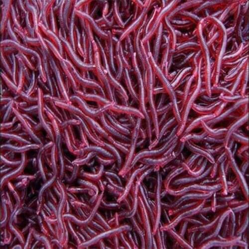 50Pcs Rubber Artificial Lifelike Earthworm Worm Soft Baits Fishing Lures Tackle