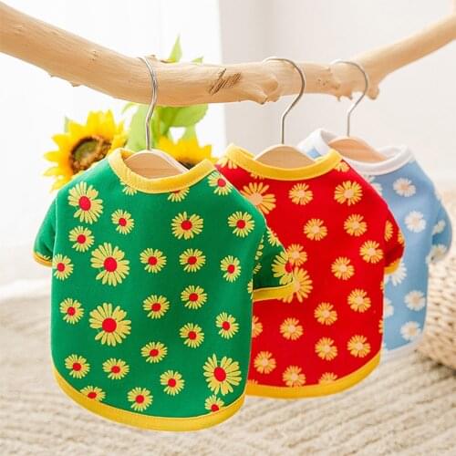 Autumn Winter Full Print Daisy Sweater Small Dog and Cat Cute Clothing Pet Dog Clothes for Small Dogs Cat for Chihuahua Teddy