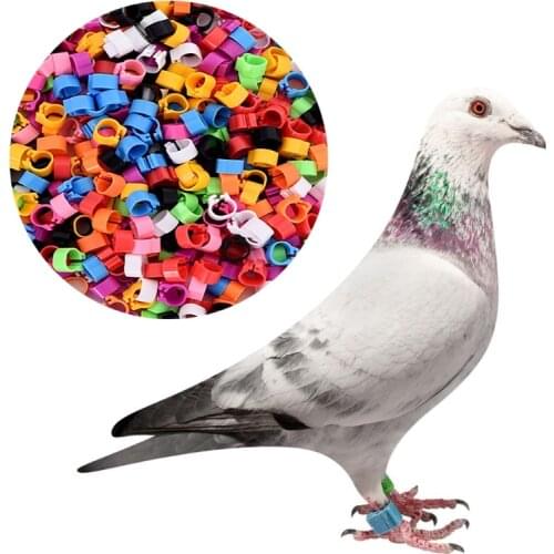 100 Pcs 300 Pcs Chicken Bird Leg Rings Colorful Turkey Identification Leg Bands Poultry Leg Bands Clip for Pigeons Birds