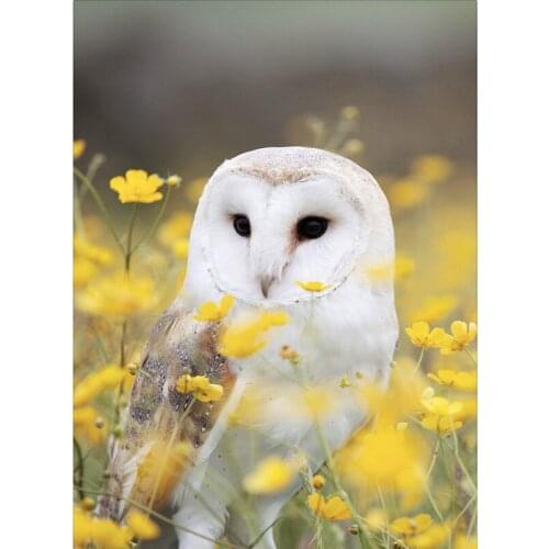 Art Square&Round Creative Diamond Embroidery Animal Owl 5D Diy Diamond Painting Cross Stitch Decor Diamond Mosaic Home Gift