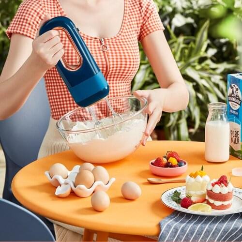 Wireless Whisk 20W Electric Household Baking Small Whisk Whisk Cream Whisk DL-580 Handheld Whisk