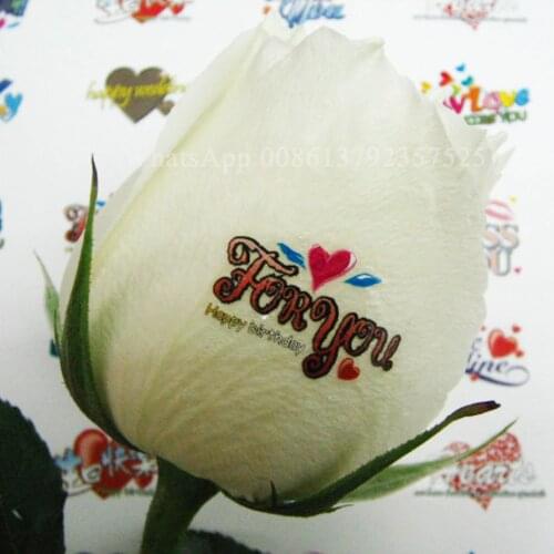 5 nails Printing All IN ONE nail printer machine built with computer and screen digital nail and flower printer machine