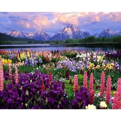 GATYZTORY Flowers Paint By Numbers For Adults Children DIY HandPainted Oil Painting Home Decoration Unique Gift