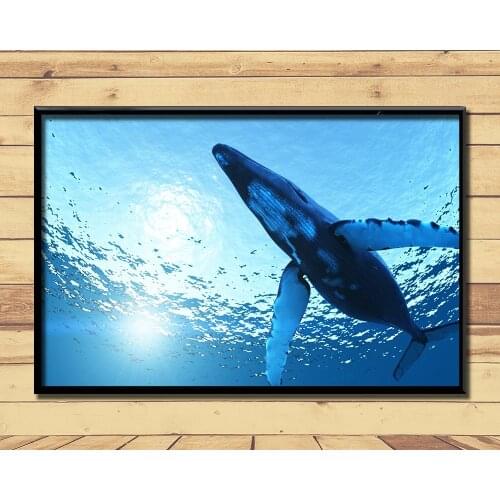 Humpback Whale Ferocious Giant Marine Animal (2) Wall Posters Prints Silk Art Painting For Home Wall Bedroom Decor
