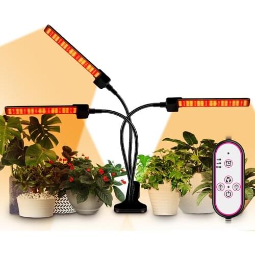 BEAMNOVA Phytolamps For Plants