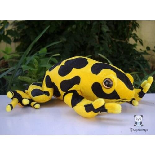 Big Toy Rainforest Stuffed Animal Dolls Real Life Plush Soft Beautiful Poison Dart Frog Pillow Gifts Model Only One