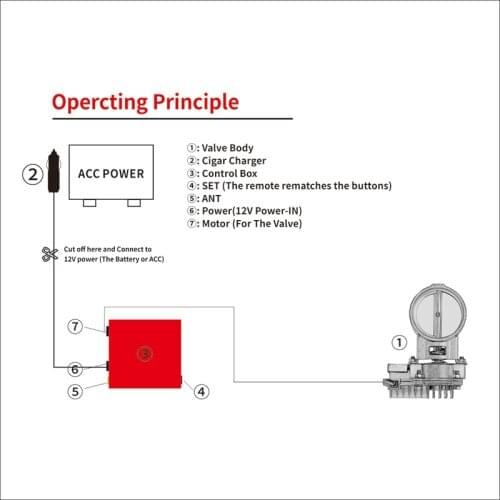 The Order Payment Link