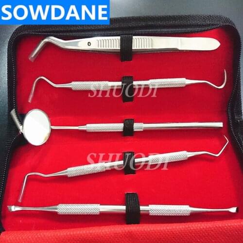 Oral Care Examination Stainless Steel Dental Lab Equipment Dental Kit Teeth Tool Set