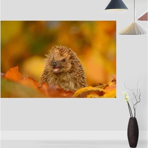 Modern Picture Hedgehog Poster Paintings For Living Room Wall Art Silk Fabric Cloth Decoration Poster For Children Gift