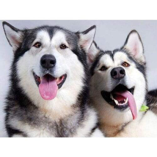 YIKEE diamond painting dog，cross stitch diamond,diamond mosaic paintings Y1416