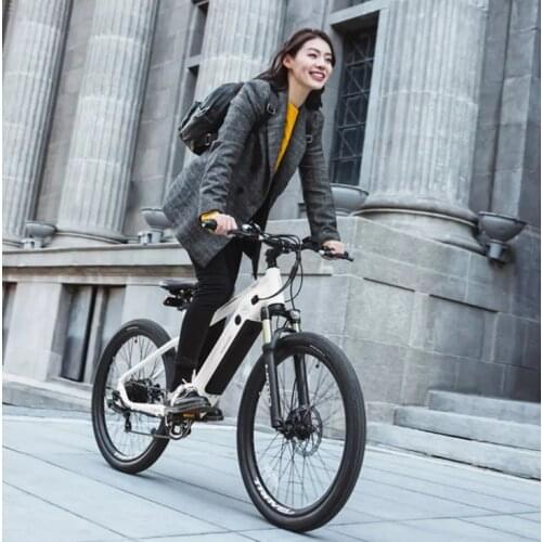 26 Inch Electric Mountain Bicycle 250W Hybrid Electric Mountain Bike Hide Lithium Battery Ebike