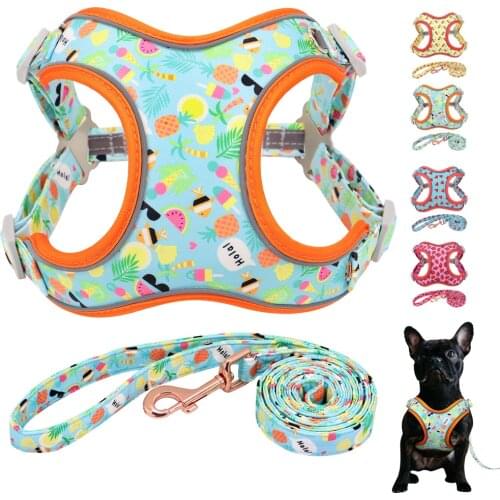 New Fashion Nylon Dog Harness Leash Set Reflective Fruit Printed Dog Vest Leash For Medium Large Dogs French Bulldog Harness