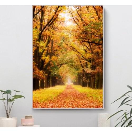 Netherlands De Hoge Veluwe National Park Autumn Leaves Canvas Painting Posters and Prints Wall Art Pictures for Home Decoration