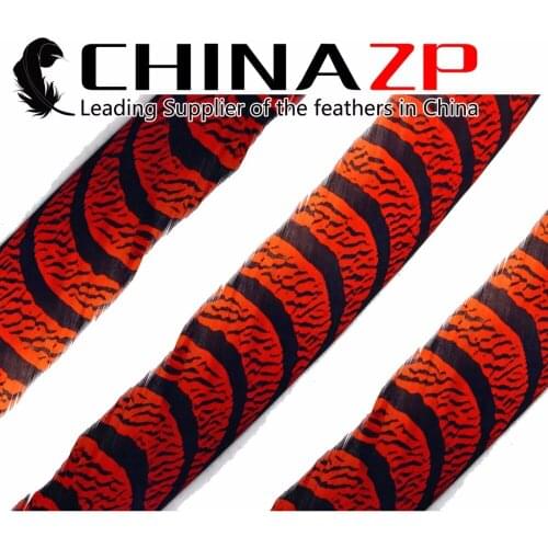CHINAZP Pheasant Feather 50 Pieces 32 to 36 inch Zebra Lady Amherst Pheasant Tail Feathers Orange Dyed For Mardi Gras Costume