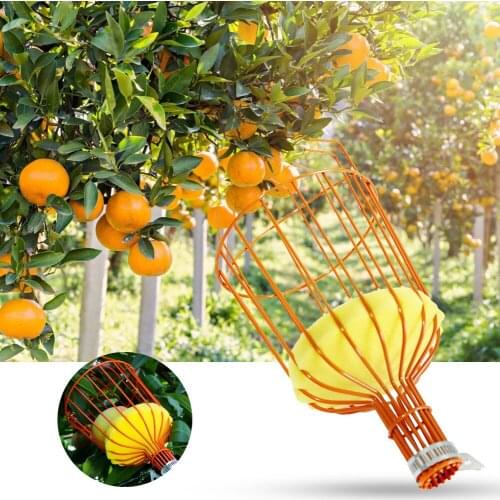 High-altitude fruit picker Head Without Pole Metal/Plastic Fruit Collector Harvest Picking Apple Citrus Pear Garden Hand tools
